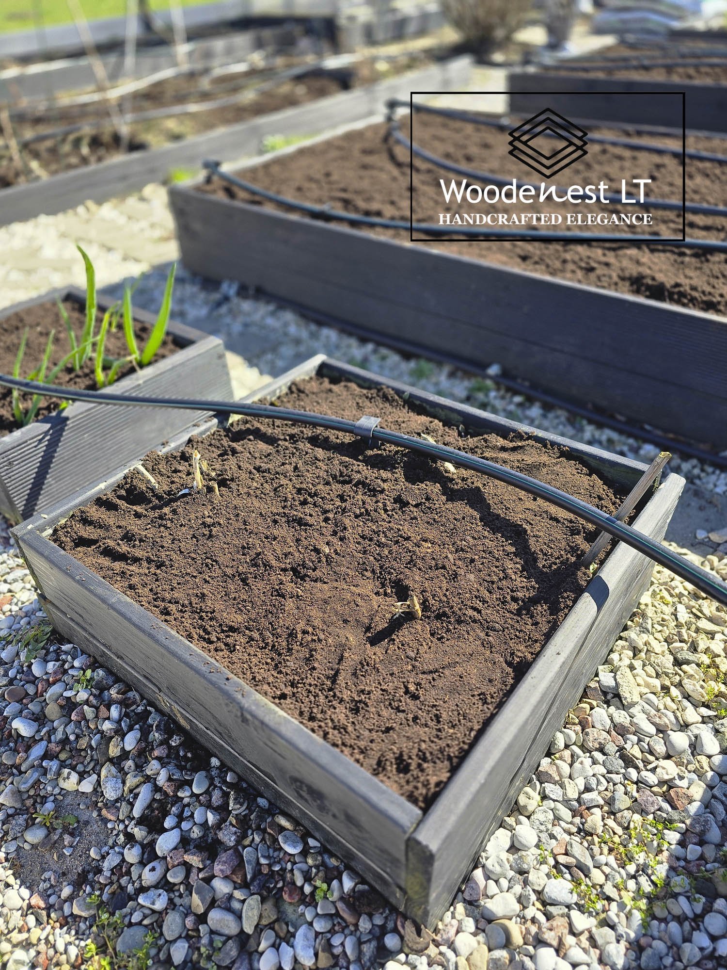 Pakeltos lysvės iš medžio