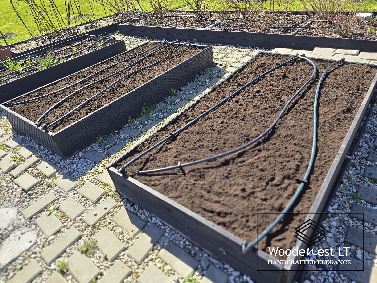 Pakeltos lysvės iš medžio