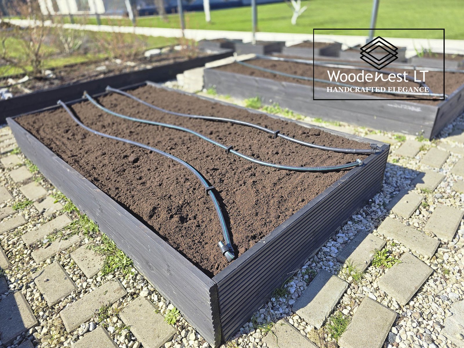 Pakeltos lysvės iš medžio